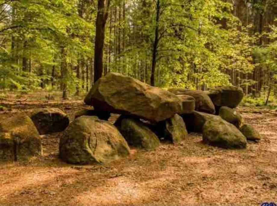 Chalet Midden In De Natuur! Anloo Esterno foto